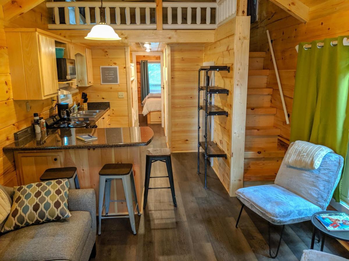 Elise Cabin Forest Retreat 5 Mins To Downtown Chattanooga Ngoại thất bức ảnh