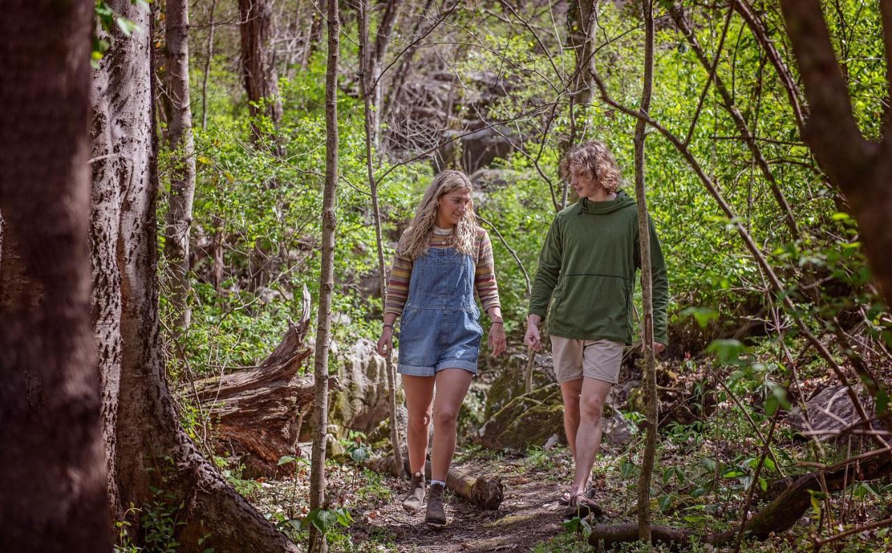 Elise Cabin Forest Retreat 5 Mins To Downtown Chattanooga Ngoại thất bức ảnh