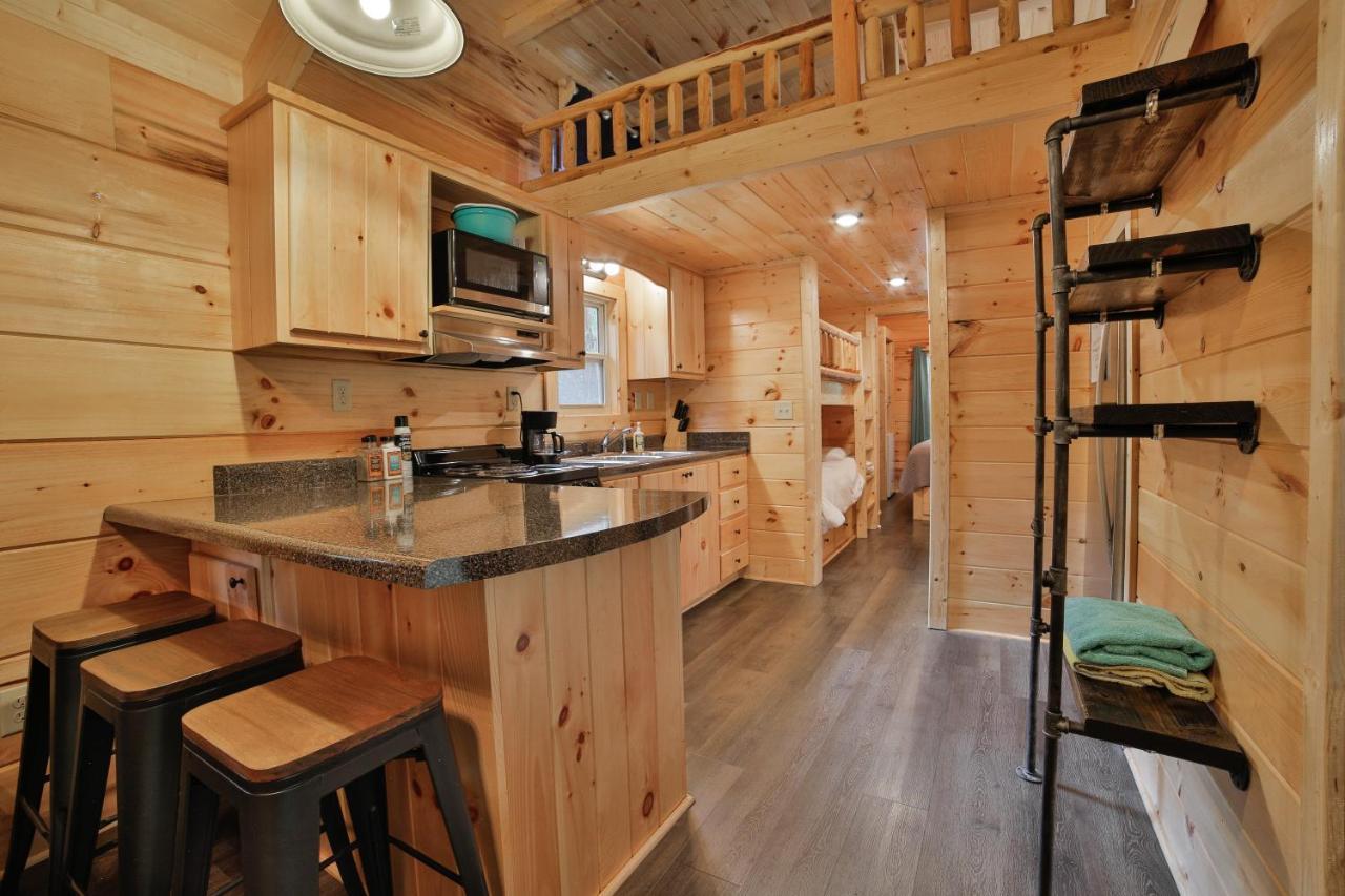 Elise Cabin Forest Retreat 5 Mins To Downtown Chattanooga Ngoại thất bức ảnh