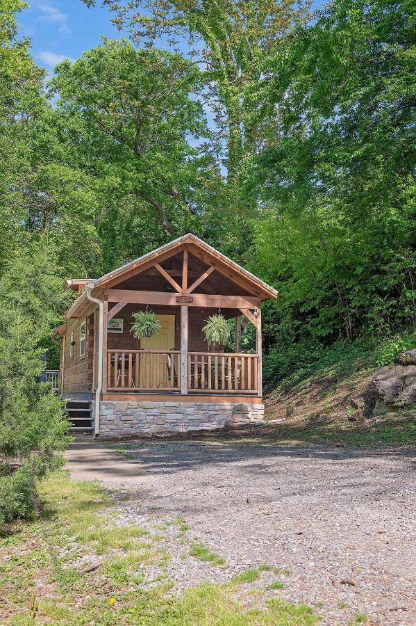 Elise Cabin Forest Retreat 5 Mins To Downtown Chattanooga Ngoại thất bức ảnh